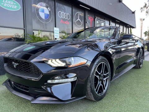 2020 Ford Mustang for sale at Cars of Tampa in Tampa FL