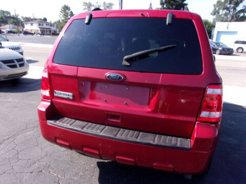 2010 Ford Escape XLT