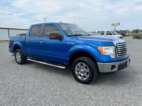 2011 Ford F-150 for sale at RAYMOND TAYLOR AUTO SALES in Fort Gibson OK