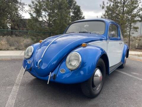 1964 Volkswagen Beetle for sale at Parnell Autowerks in Bend OR