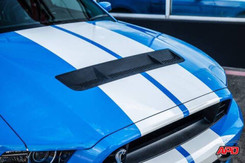 2013 Ford Shelby GT500