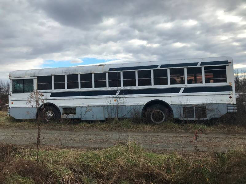 1987 International Blue Bird