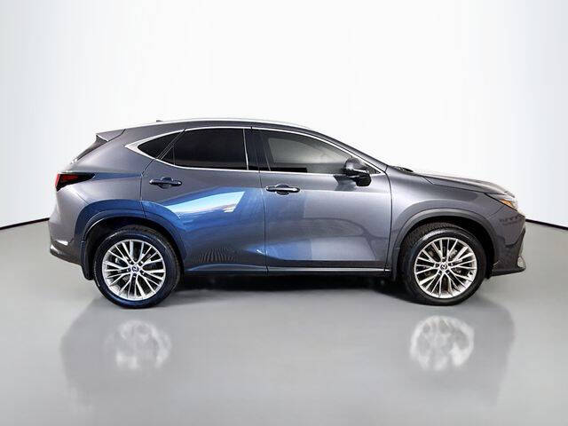 2025 Lexus NX 350h Premium