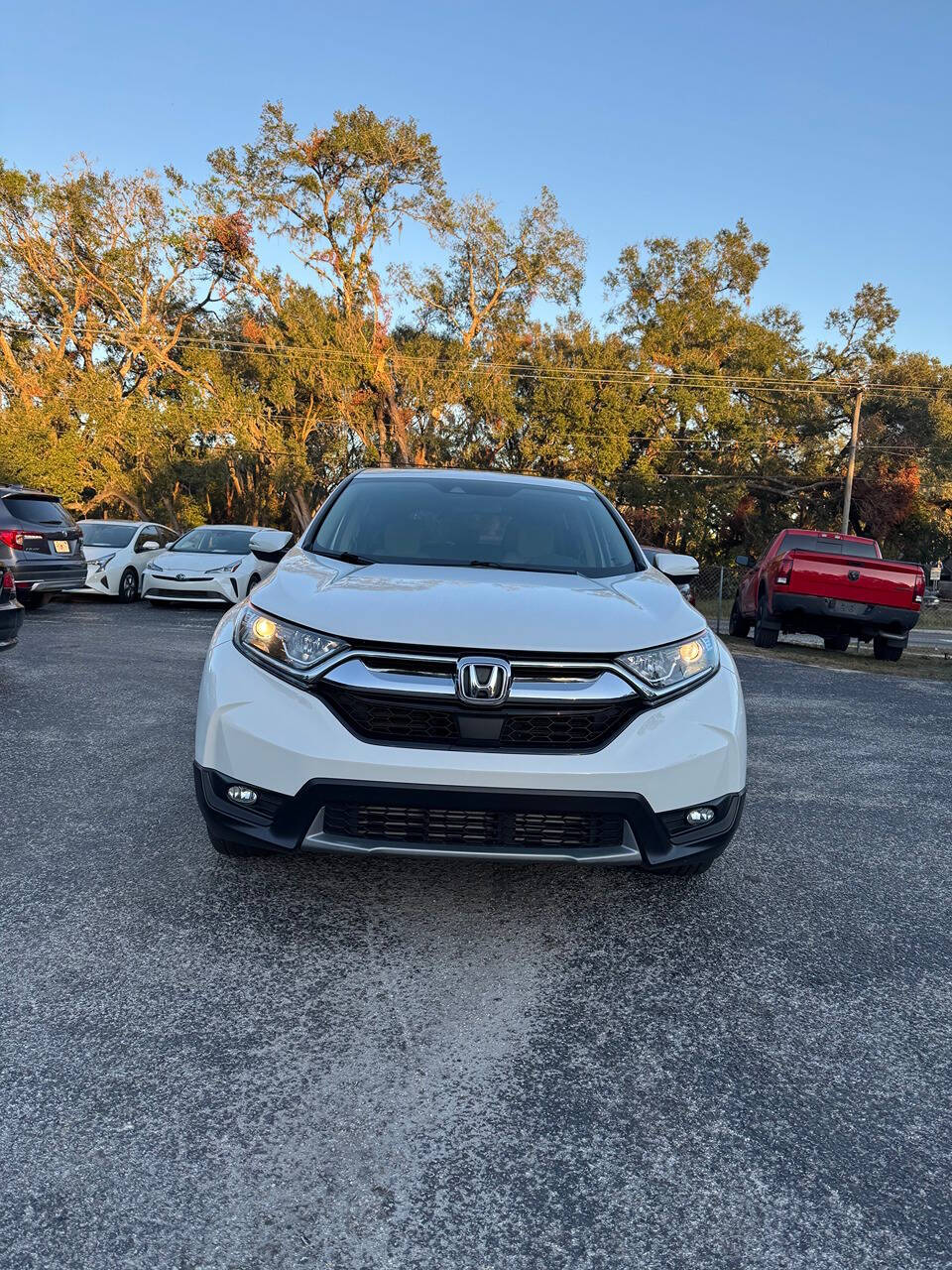 2019 Honda CR-V for sale at GRACELAND AUTO LLC in Thonotosassa, FL