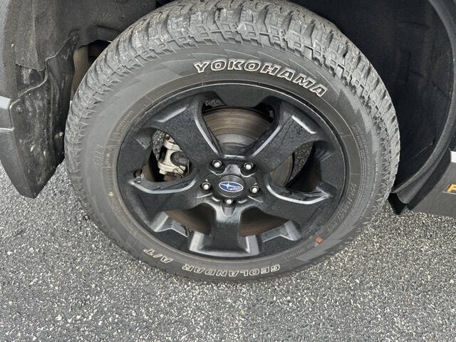 2023 Subaru Forester Wilderness