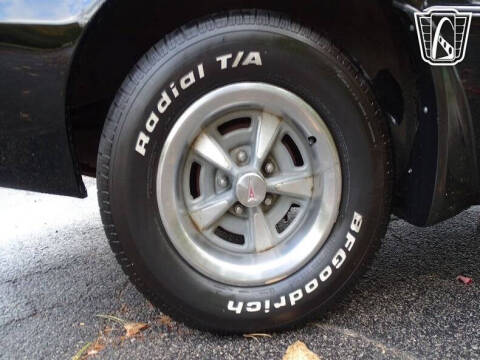 1981 Pontiac Firebird