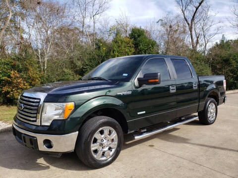 2012 Ford F-150 for sale at Houston Auto Preowned in Houston TX