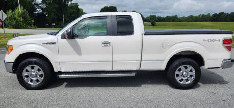 2010 Ford F-150 for sale at R & D Auto Sales Inc. in Lexington NC