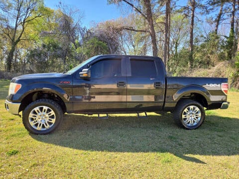 2010 Ford F-150 for sale at A-1 Auto Sales in Anderson SC