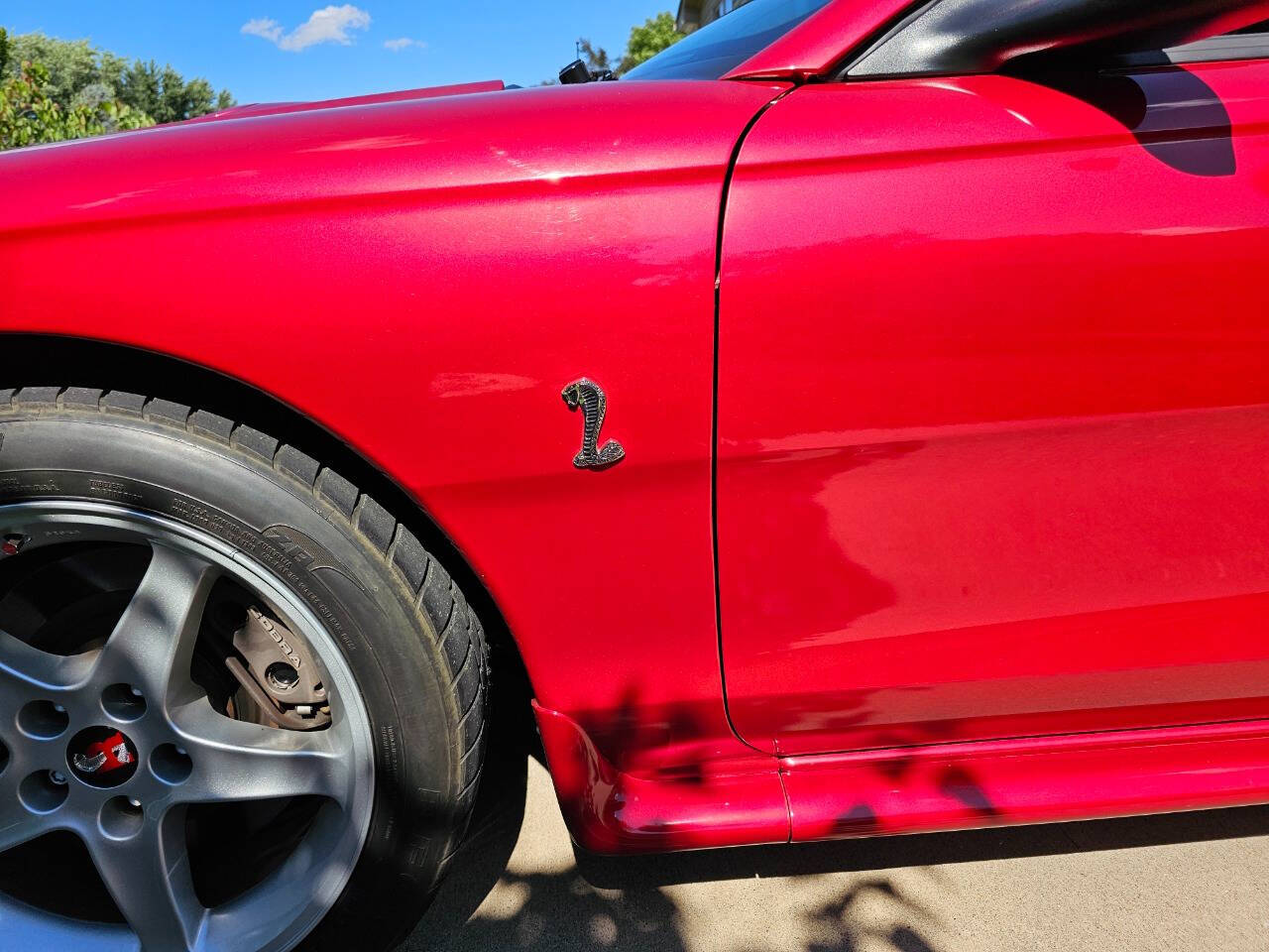 1996 Ford Mustang SVT Cobra 144
