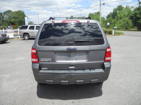 2011 Ford Escape XLT