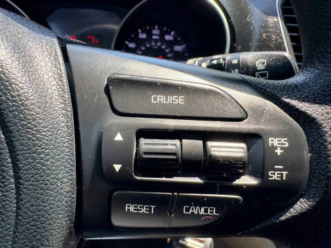 2015 Kia Sedona L