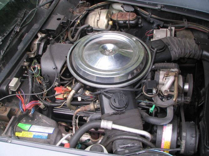 1981 Chevrolet Corvette