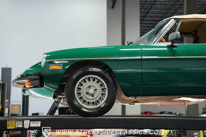 1978 Alfa Romeo Spider