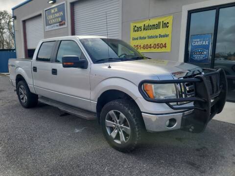 2010 Ford F-150 for sale at iCars Automall Inc in Foley AL