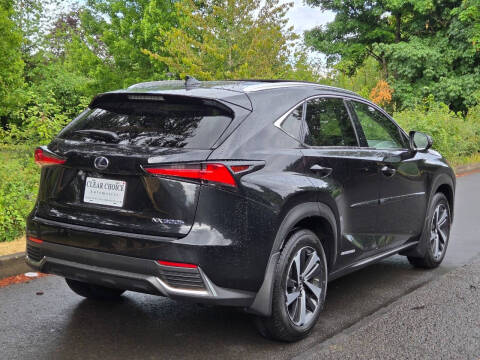 2020 Lexus NX 300h