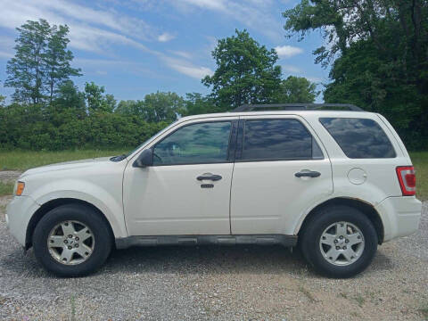 2009 Ford Escape XLT