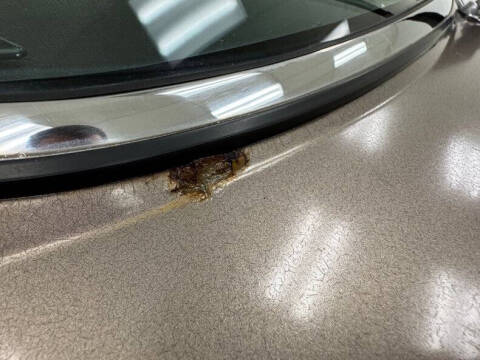 1986 Jaguar XJ-Series XJ6 Vanden Plas