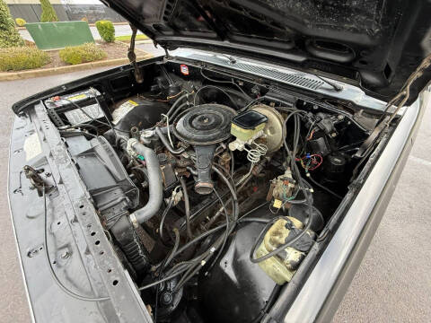 1982 GMC C/K 1500 Series C1500