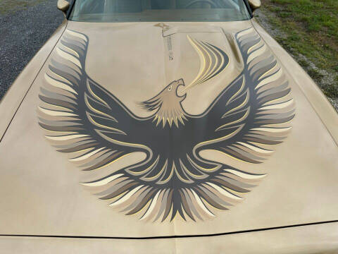 1980 Pontiac Firebird Trans Am
