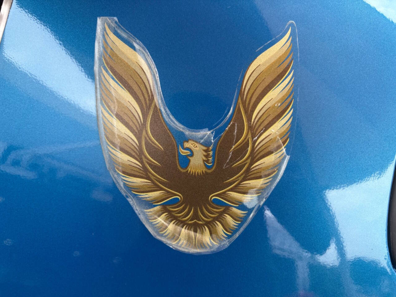 1979 Pontiac Firebird 23