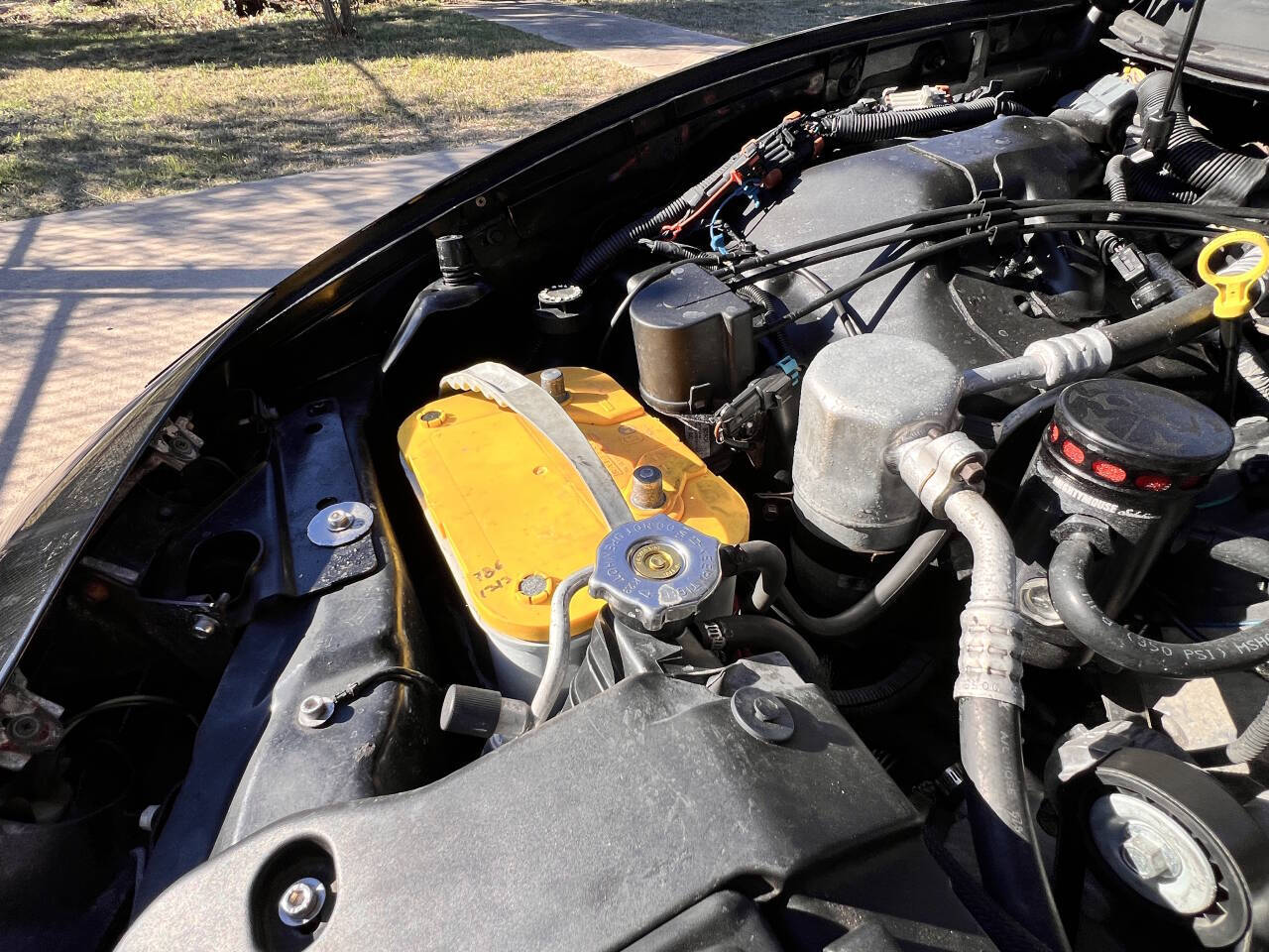 Used Car 2001 Pontiac Firebird  Trans Am 2dr Hatchback For Sale Under $25,000 In Austin, Texas