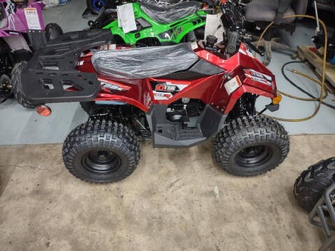 2023 RXR 110 for sale at Johnson Used Cars Inc. in Dublin GA