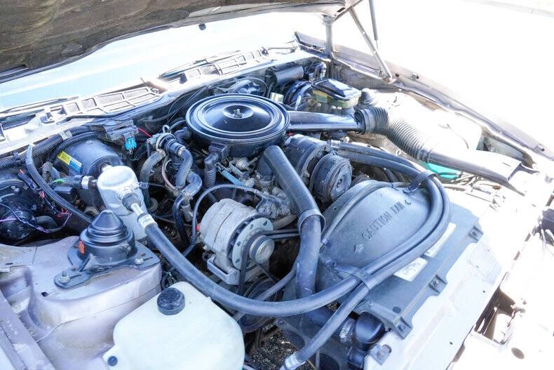 1984 Pontiac Firebird