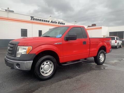 2010 Ford F-150 for sale at Tennessee Auto Sales in Elizabethton TN