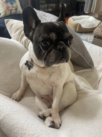 2018 Nissan Rogue Sport SV