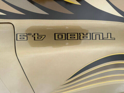 1980 Pontiac Firebird Trans Am