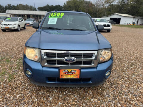 2010 Ford Escape XLT