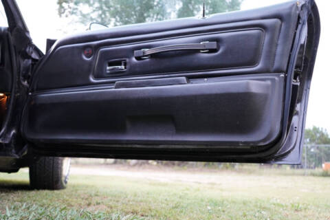 1976 Pontiac Firebird Trans Am