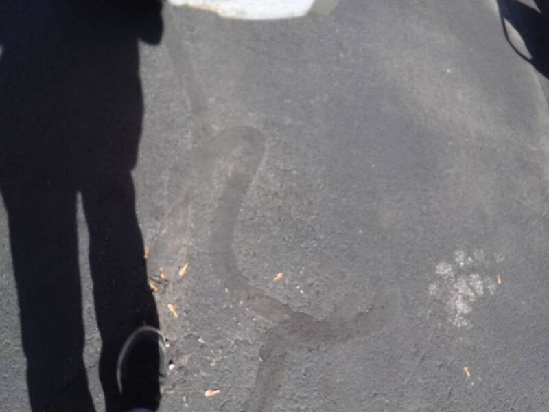 2017 Arctic Cat LYNX 2000 LT ES