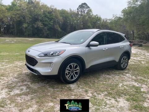 2020 Ford Escape for sale at TIMBERLAND FORD in Perry FL