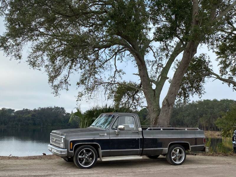 1980 Chevrolet C/K 10 Series for sale at OVE Car Trader Corp in Tampa FL