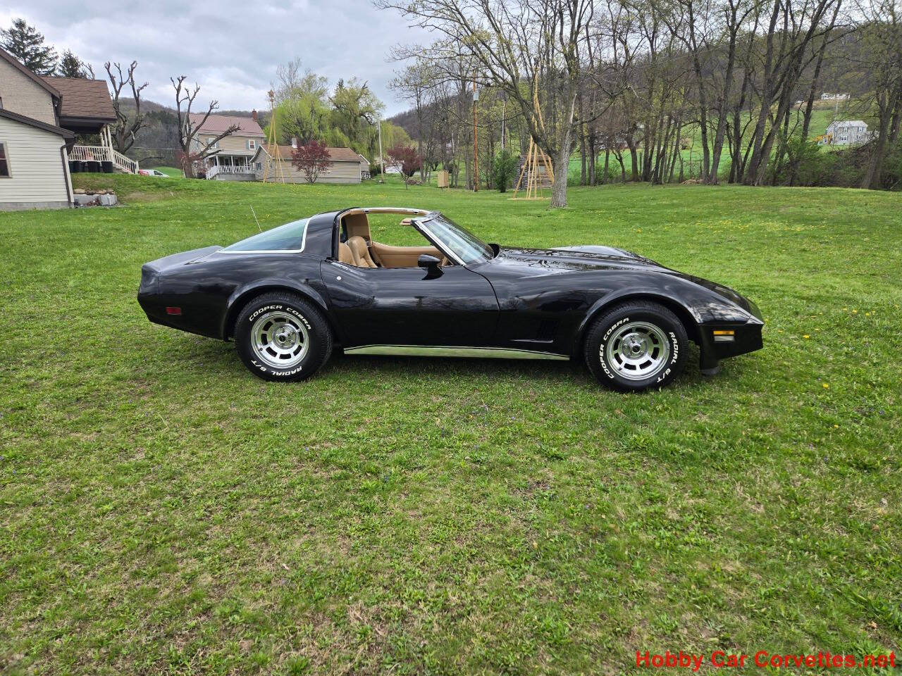 1981 Chevrolet Corvette 12