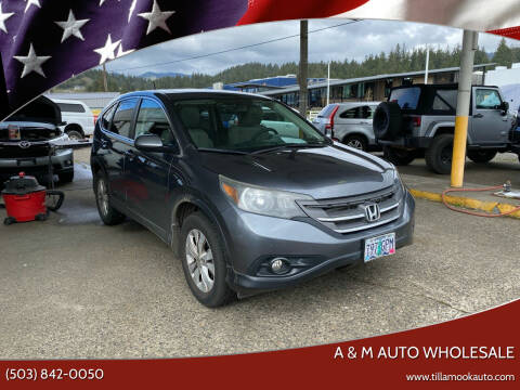 2014 Honda CR-V for sale at A & M Auto Wholesale in Tillamook OR