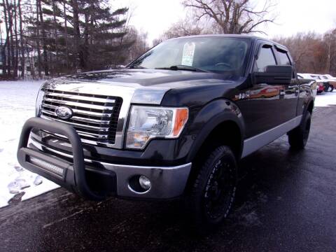2011 Ford F-150 for sale at American Auto Sales in Forest Lake MN