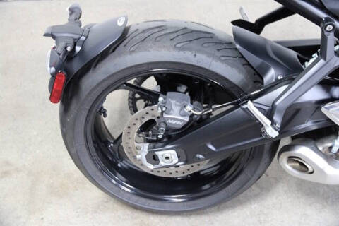 2024 Triumph Trident 66