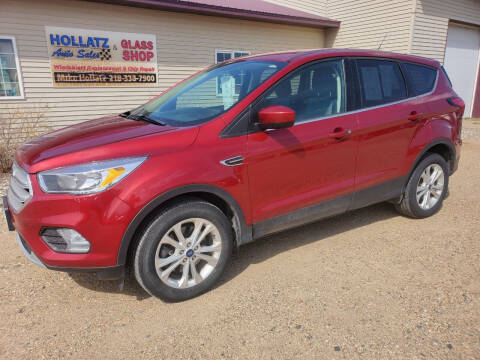 2019 Ford Escape for sale at Hollatz Auto Sales in Parkers Prairie MN