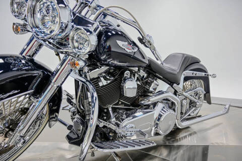 2009 Harley-Davidson FLTSN