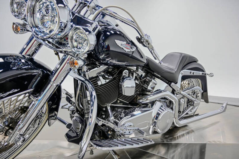 2009 Harley-Davidson FLTSN