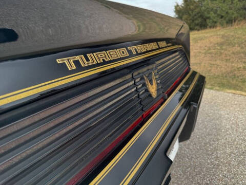 1981 Pontiac Firebird Trans Am