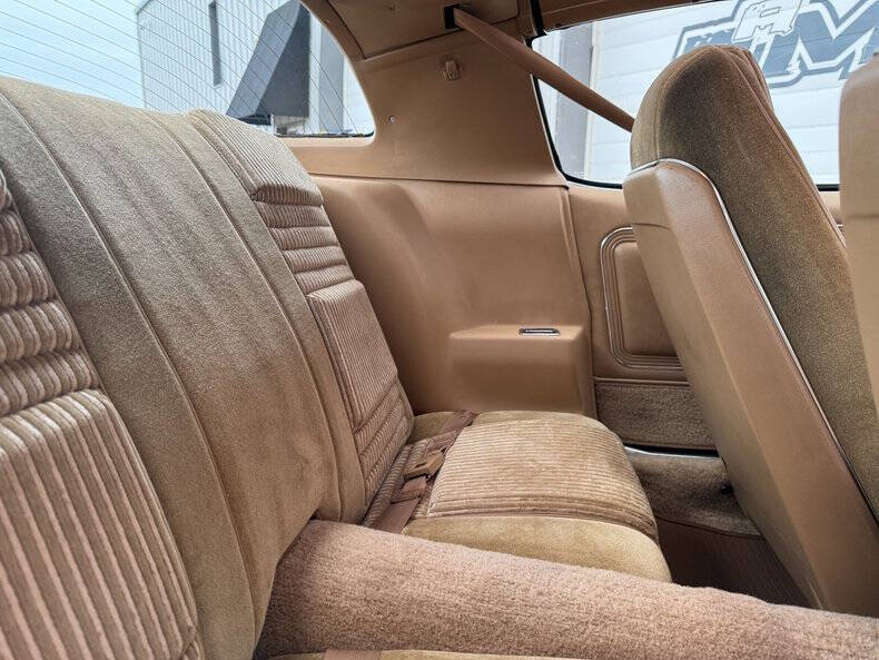 1981 Pontiac Firebird Trans Am