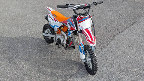 2025 TrailMaster SK110 ES