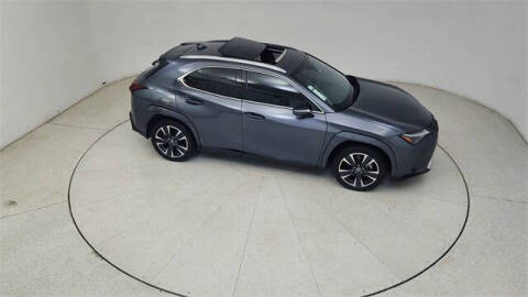 2024 Lexus UX 250h Premium