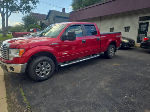 2011 Ford F-150 for sale at Maximum Auto Group II INC in Cortland OH