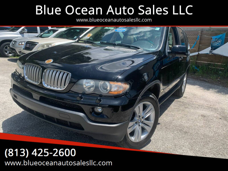 2004 BMW X5 for sale at Blue Ocean Auto Sales LLC in Tampa FL