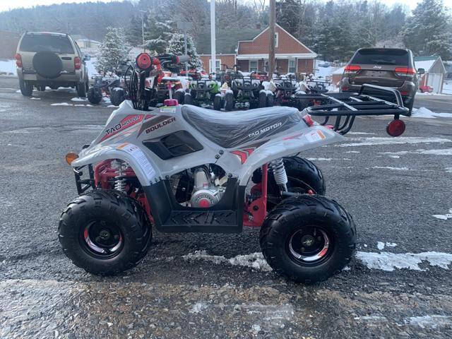 2025 Tao Motors B110